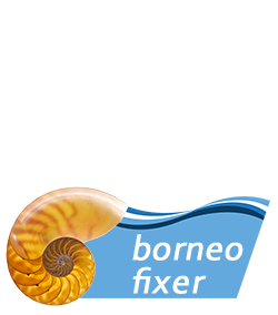 Borneo Fixer - Film Production Location Management